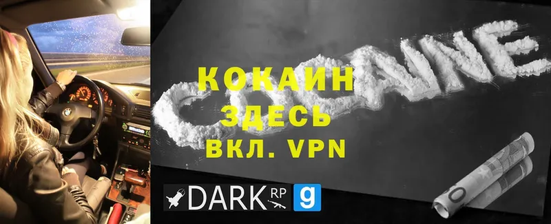 купить наркотики сайты  kraken tor  Cocaine VHQ  Венёв 