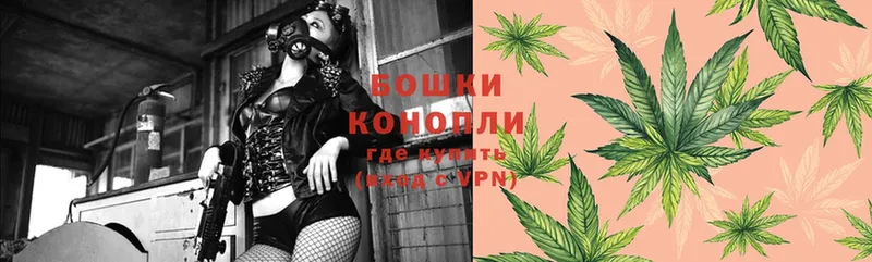 закладки  Венёв  Конопля White Widow 